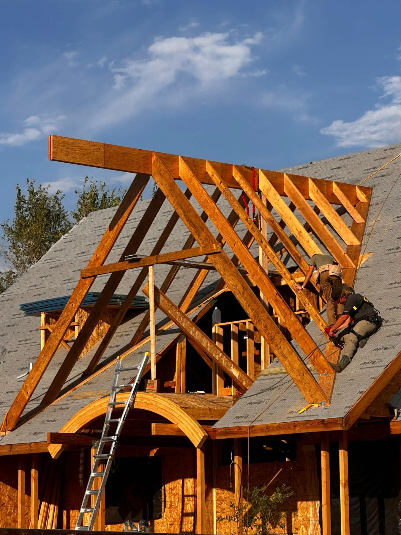 Alpine Contracting roof framing